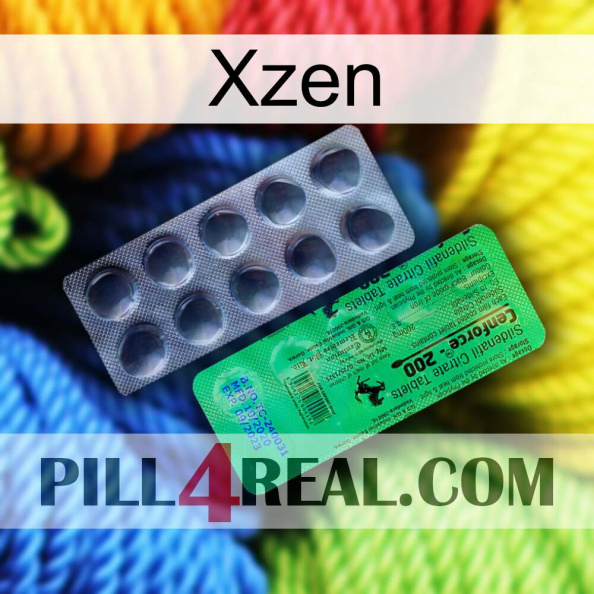 Xzen new04.jpg